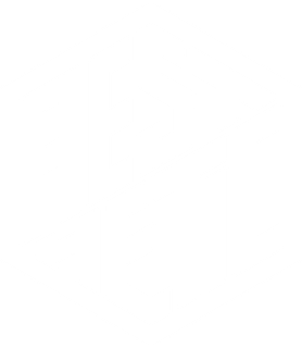 Aesthetic