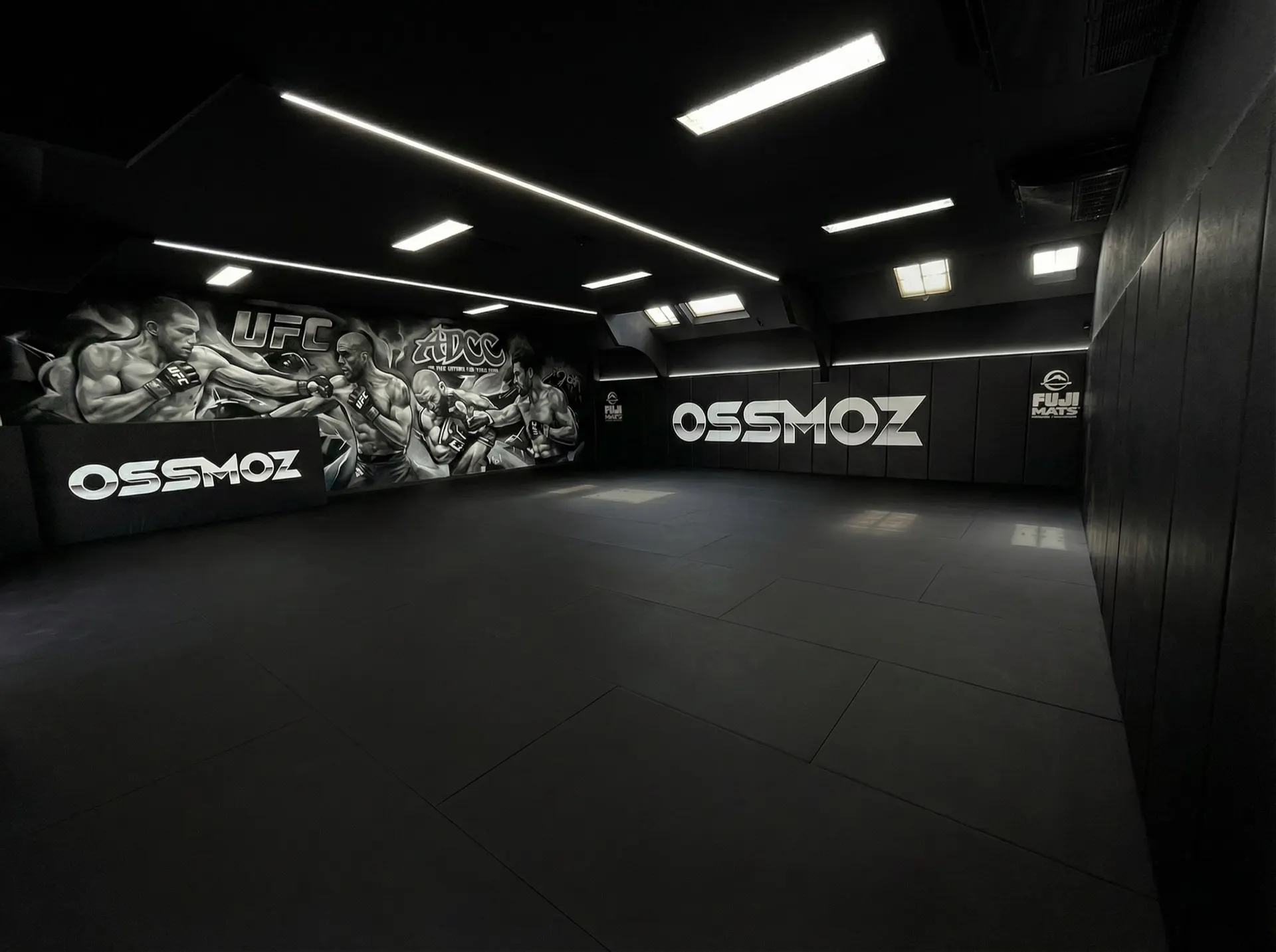 Tatami OSSMOZ à Melun : fresque des champions et mur OSSMOZ.