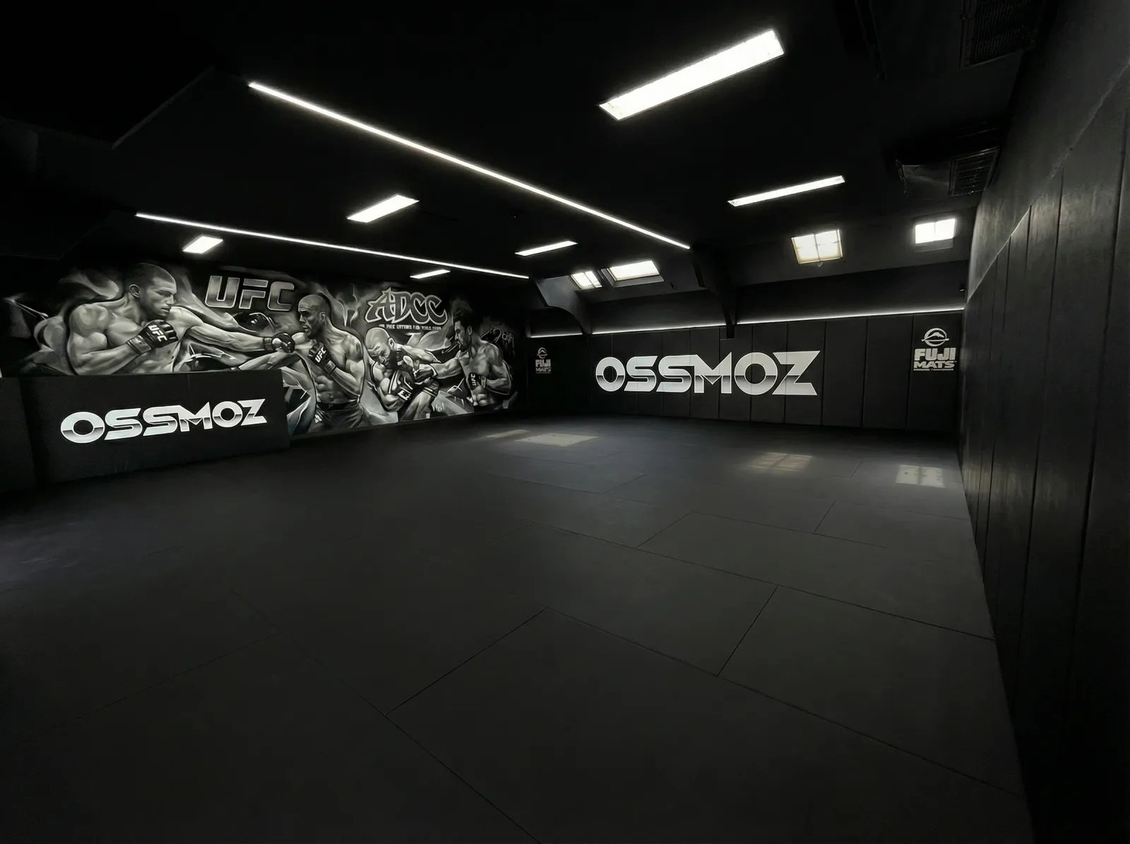 Tatami OSSMOZ avec fresque des champions et mur chromé