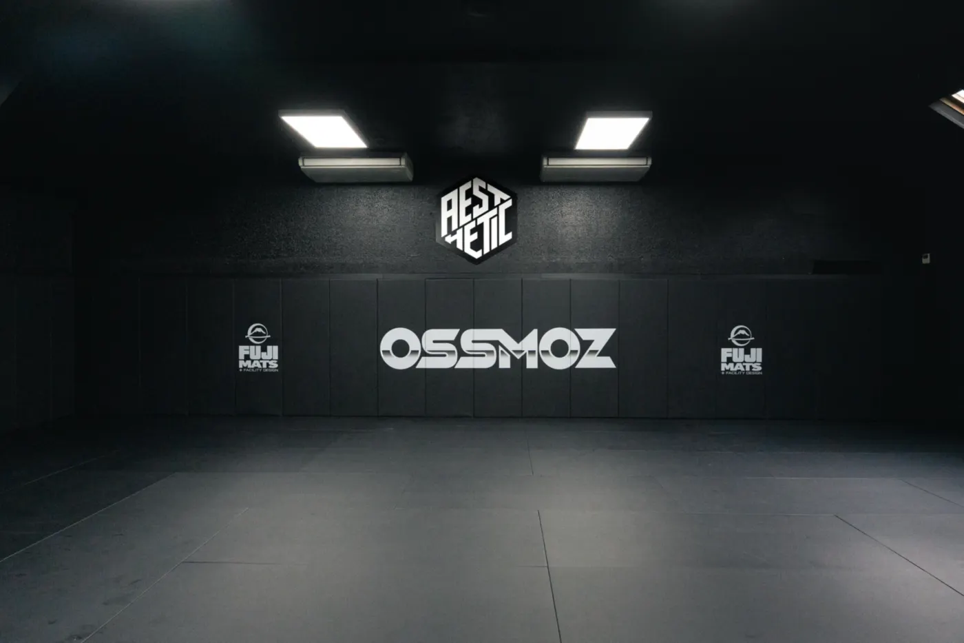 Le grand tatami de la salle OSSMOZ à Melun, face au mur OSSMOZ